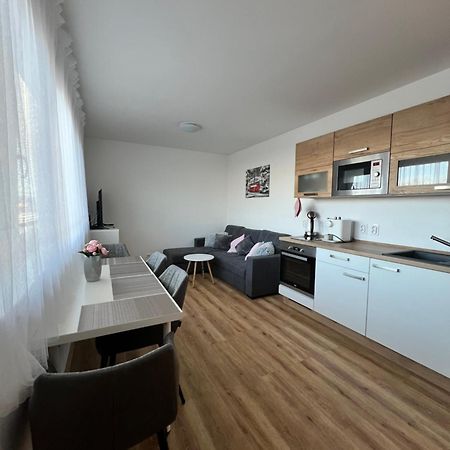 Apartman Roda2 Male Lipno Cerna v Posumavi Bagian luar foto